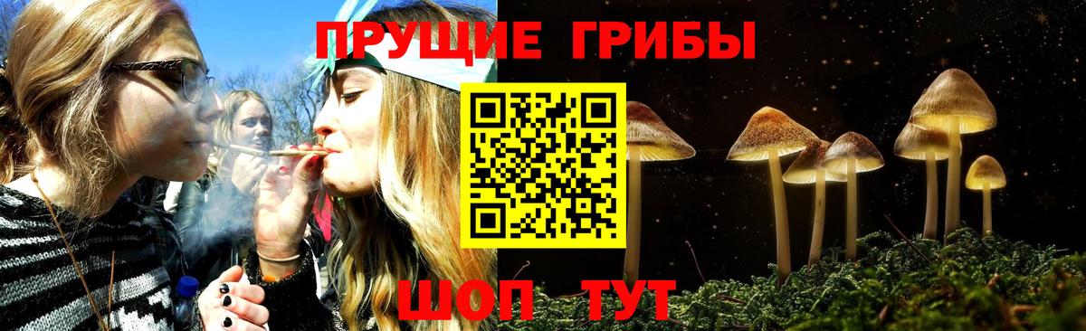 Галлюциногенные грибы MAGIC MUSHROOMS Советская Гавань