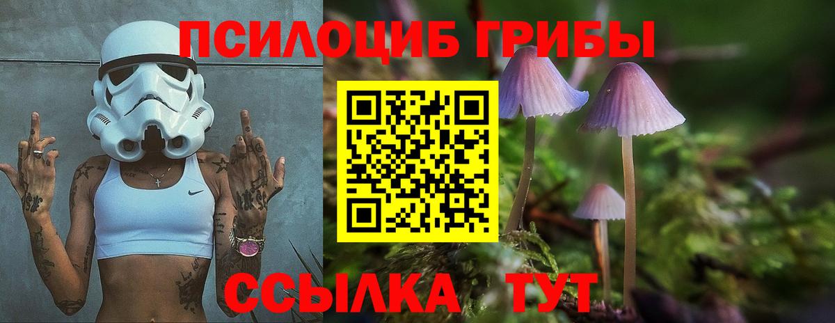 Галлюциногенные грибы прущие грибы  Галлюциногенные грибы Magic Shrooms  Советская Гавань  дарнет шоп  Вход с VPN 